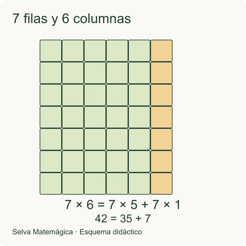 7 filas de 6 columnas se separan en 7 por 5 y 7 por 1: 35 + 7 = 42.